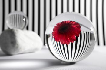 Decor & Styling